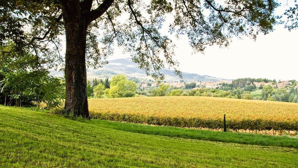Casa Fabbrini Agriturismo San Casciano dei Bagni Kültér fotó